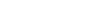 Webbikettu